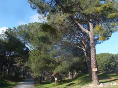 Hoyo de Pinares;Valle de la Pizarra y los Brajales-Cebreros;cueva del reguerillo tetas de viana vian